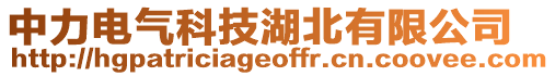 中力電氣科技湖北有限公司