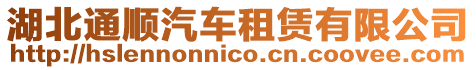 湖北通順汽車租賃有限公司