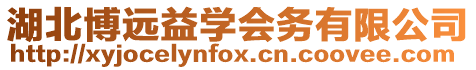 湖北博遠益學會務有限公司