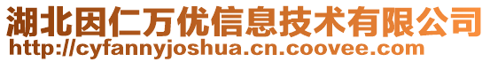 湖北因仁万优信息技术有限公司