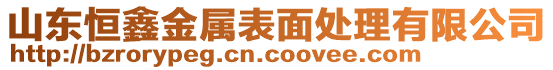 山東恒鑫金屬表面處理有限公司