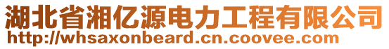 湖北省湘億源電力工程有限公司