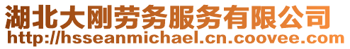 湖北大剛勞務服務有限公司