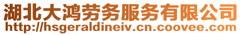 湖北大鴻勞務服務有限公司