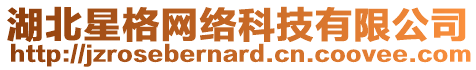 湖北星格網絡科技有限公司