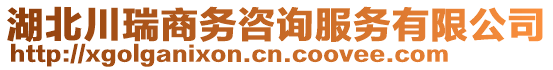 湖北川瑞商務(wù)咨詢服務(wù)有限公司