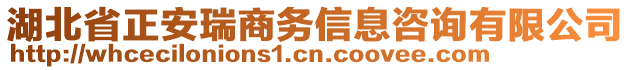 湖北省正安瑞商务信息咨询有限公司