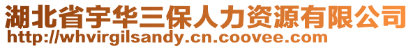 湖北省宇华三保人力资源有限公司