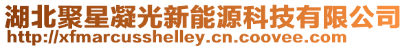 湖北聚星凝光新能源科技有限公司