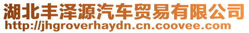 湖北豐澤源汽車貿(mào)易有限公司