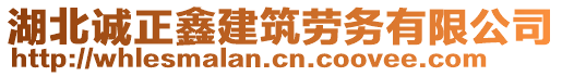 湖北誠正鑫建筑勞務有限公司