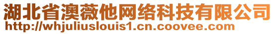 湖北省澳薇他網(wǎng)絡(luò)科技有限公司