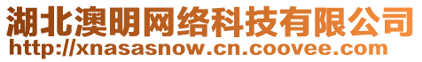 湖北澳明網(wǎng)絡(luò)科技有限公司