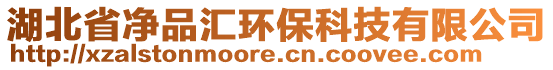 湖北省凈品匯環(huán)保科技有限公司