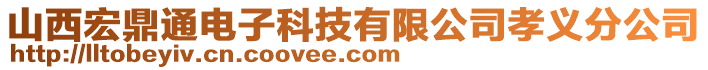 山西宏鼎通電子科技有限公司孝義分公司