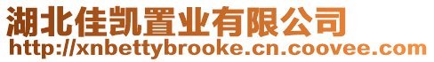 湖北佳凱置業有限公司