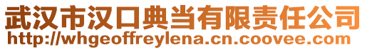 武漢市漢口典當(dāng)有限責(zé)任公司