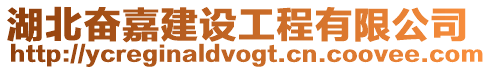 湖北奮嘉建設工程有限公司