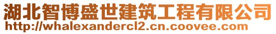 湖北智博盛世建筑工程有限公司