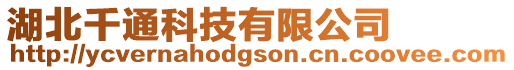 湖北千通科技有限公司