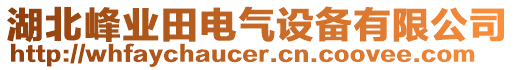 湖北峰業(yè)田電氣設(shè)備有限公司