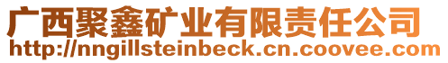 廣西聚鑫礦業(yè)有限責(zé)任公司