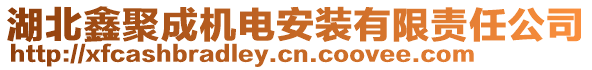 湖北鑫聚成機(jī)電安裝有限責(zé)任公司