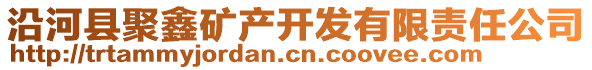 沿河縣聚鑫礦產(chǎn)開發(fā)有限責(zé)任公司