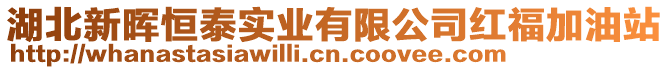 湖北新暉恒泰實業有限公司紅福加油站