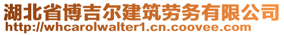 湖北省博吉爾建筑勞務(wù)有限公司