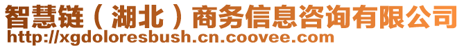 智慧鏈（湖北）商務(wù)信息咨詢(xún)有限公司