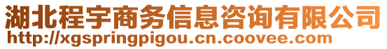 湖北程宇商務(wù)信息咨詢有限公司