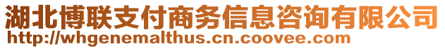 湖北博聯(lián)支付商務(wù)信息咨詢有限公司