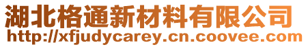 湖北格通新材料有限公司