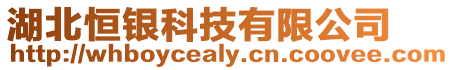 湖北恒銀科技有限公司