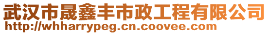 武漢市晟鑫豐市政工程有限公司