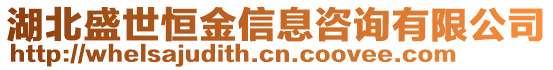 湖北盛世恒金信息咨詢有限公司