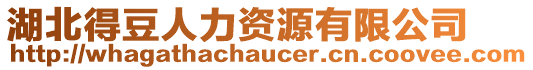 湖北得豆人力資源有限公司