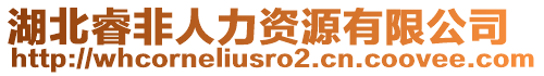 湖北睿非人力資源有限公司