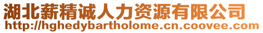 湖北薪精誠人力資源有限公司