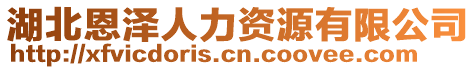 湖北恩澤人力資源有限公司