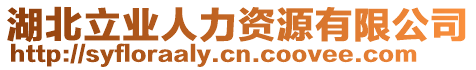 湖北立業(yè)人力資源有限公司