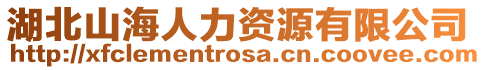 湖北山海人力資源有限公司