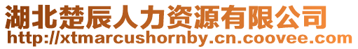 湖北楚辰人力資源有限公司