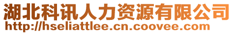 湖北科訊人力資源有限公司