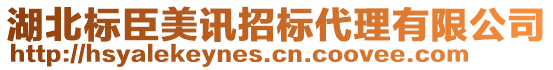 湖北標臣美訊招標代理有限公司