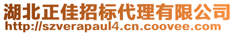 湖北正佳招標代理有限公司
