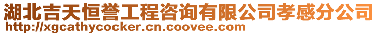 湖北吉天恒譽工程咨詢有限公司孝感分公司