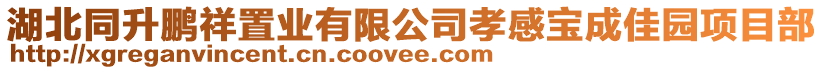 湖北同升鵬祥置業有限公司孝感寶成佳園項目部
