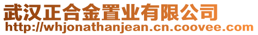 武漢正合金置業有限公司